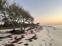 Natures coast old Florida type beaches