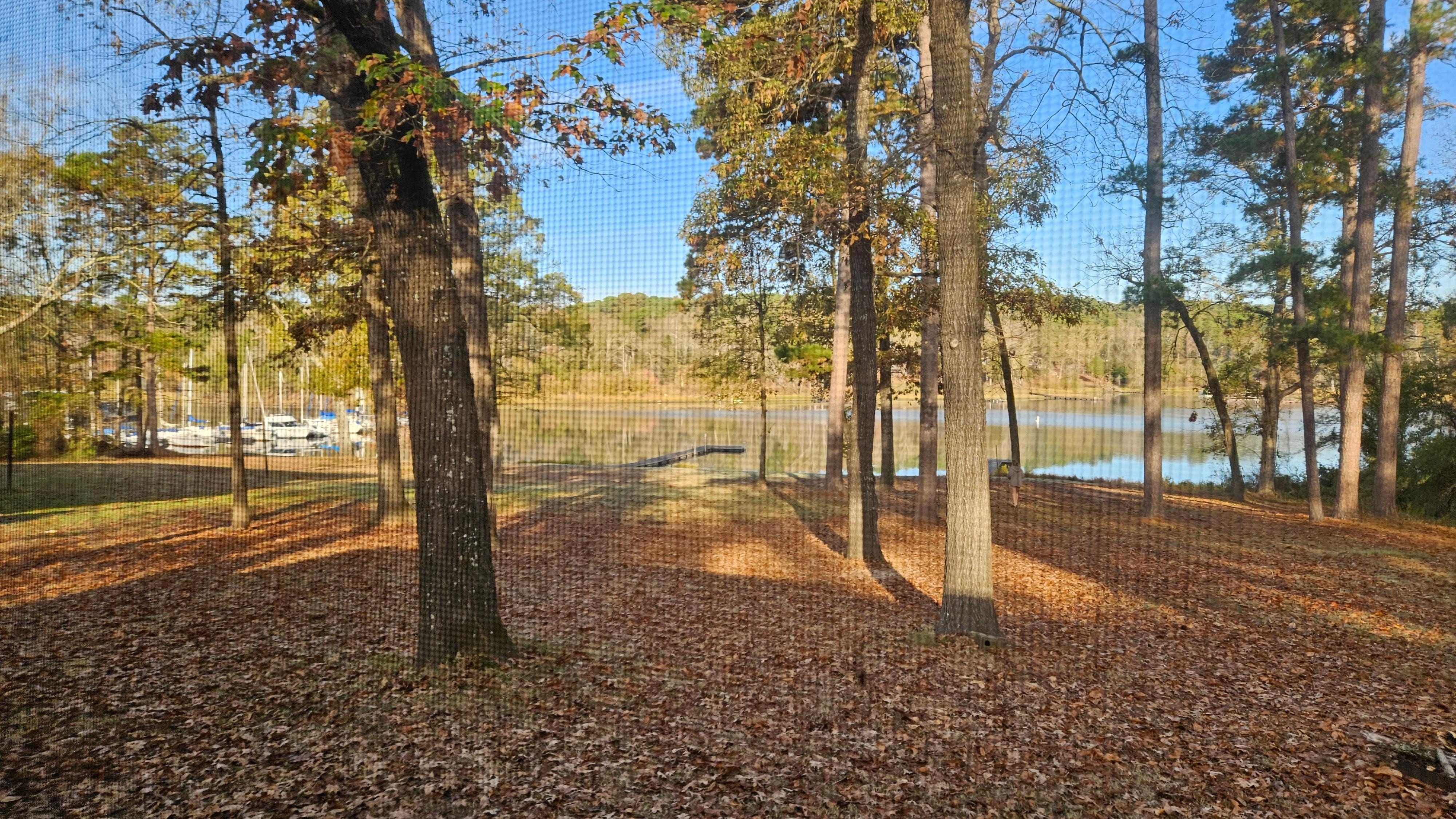 View from back porch.