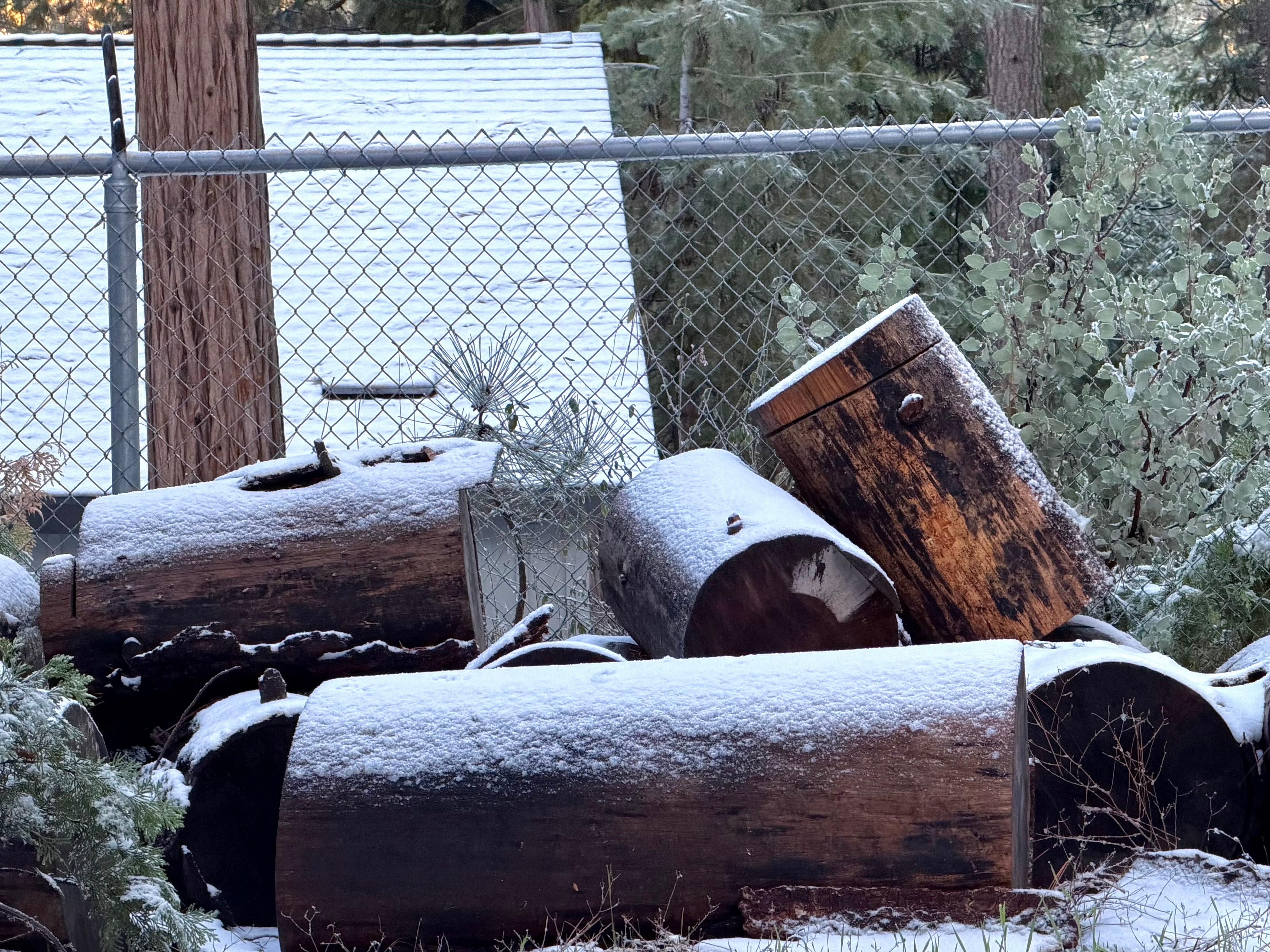 Snow on the wood