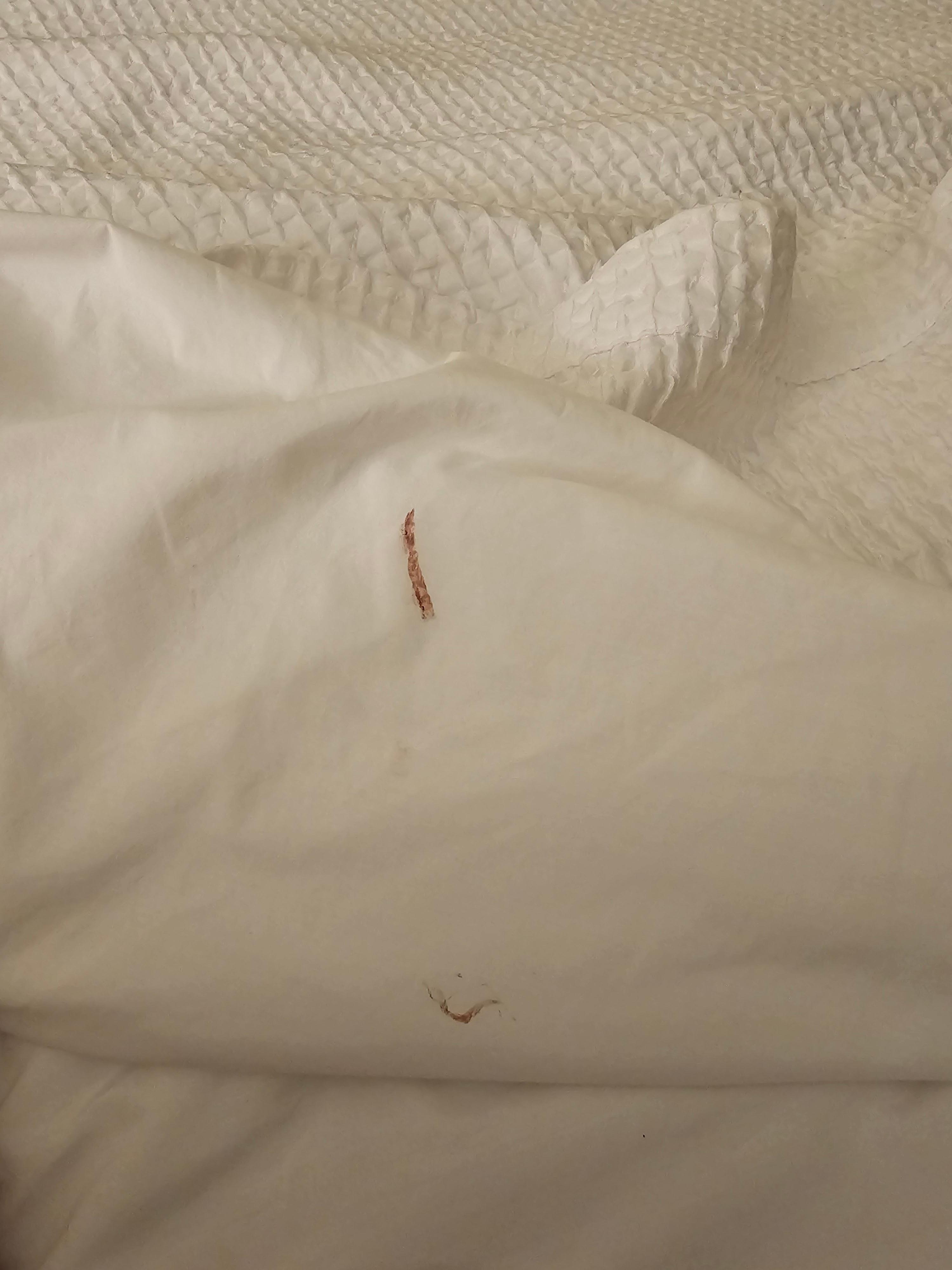 Dirty bed sheets . It was there before we got there.