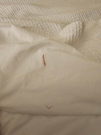 Dirty bed sheets . It was there before we got there.