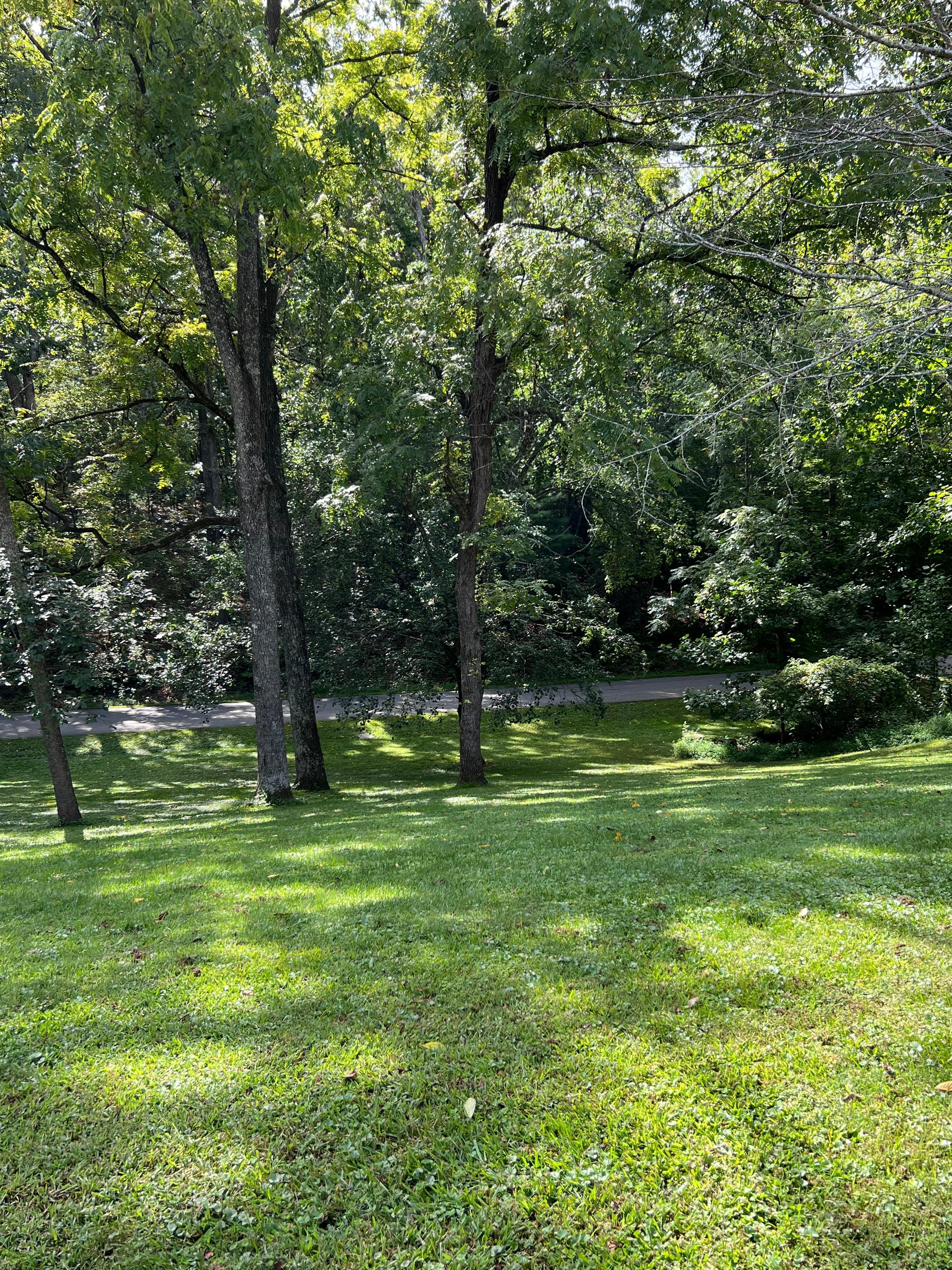 Beautiful trees surround the home on all sides.