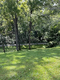 Beautiful trees surround the home on all sides.