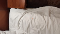 Loose sheet.