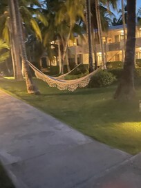 Wellness area with hammocks