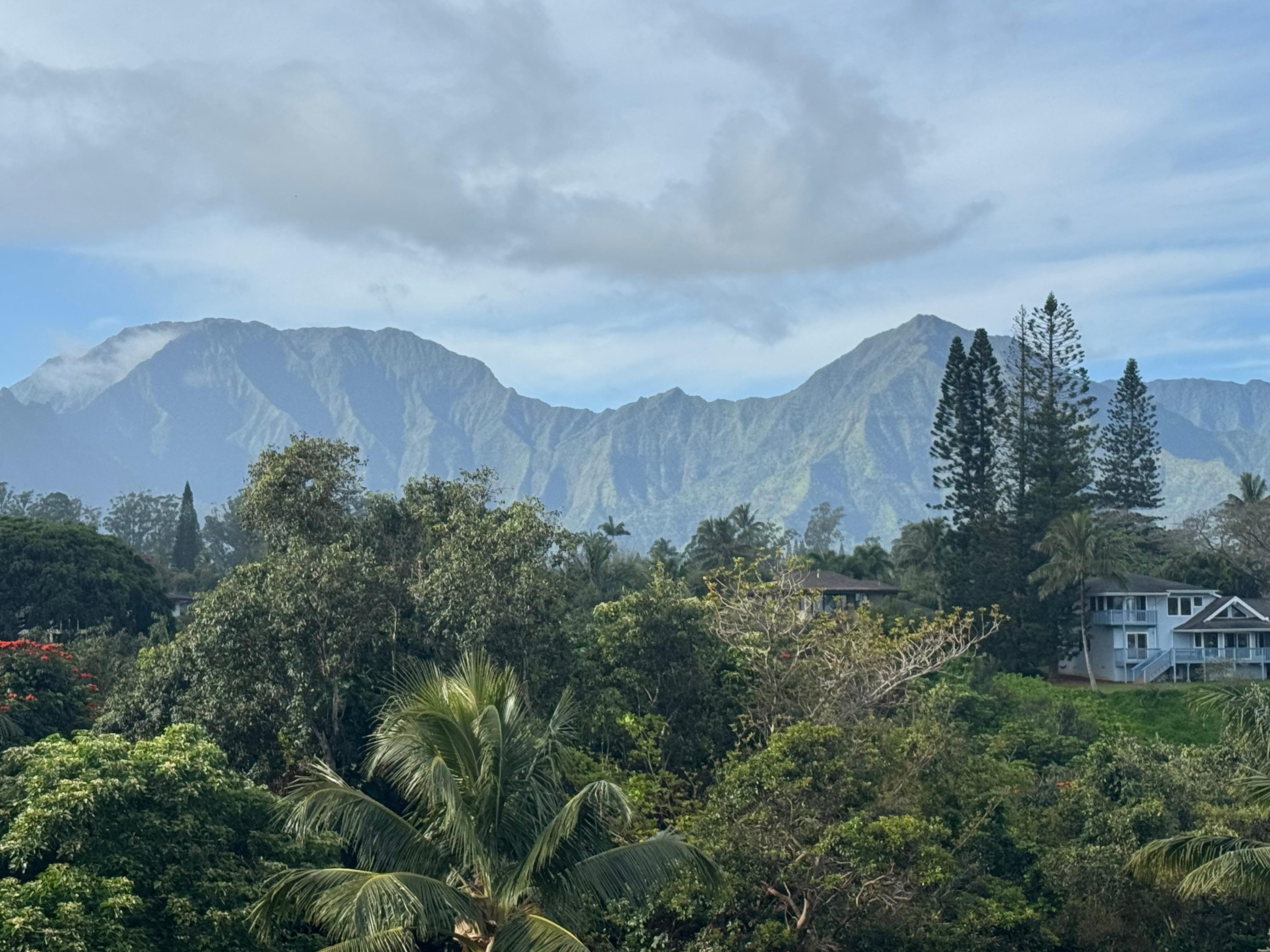View from the front of the property