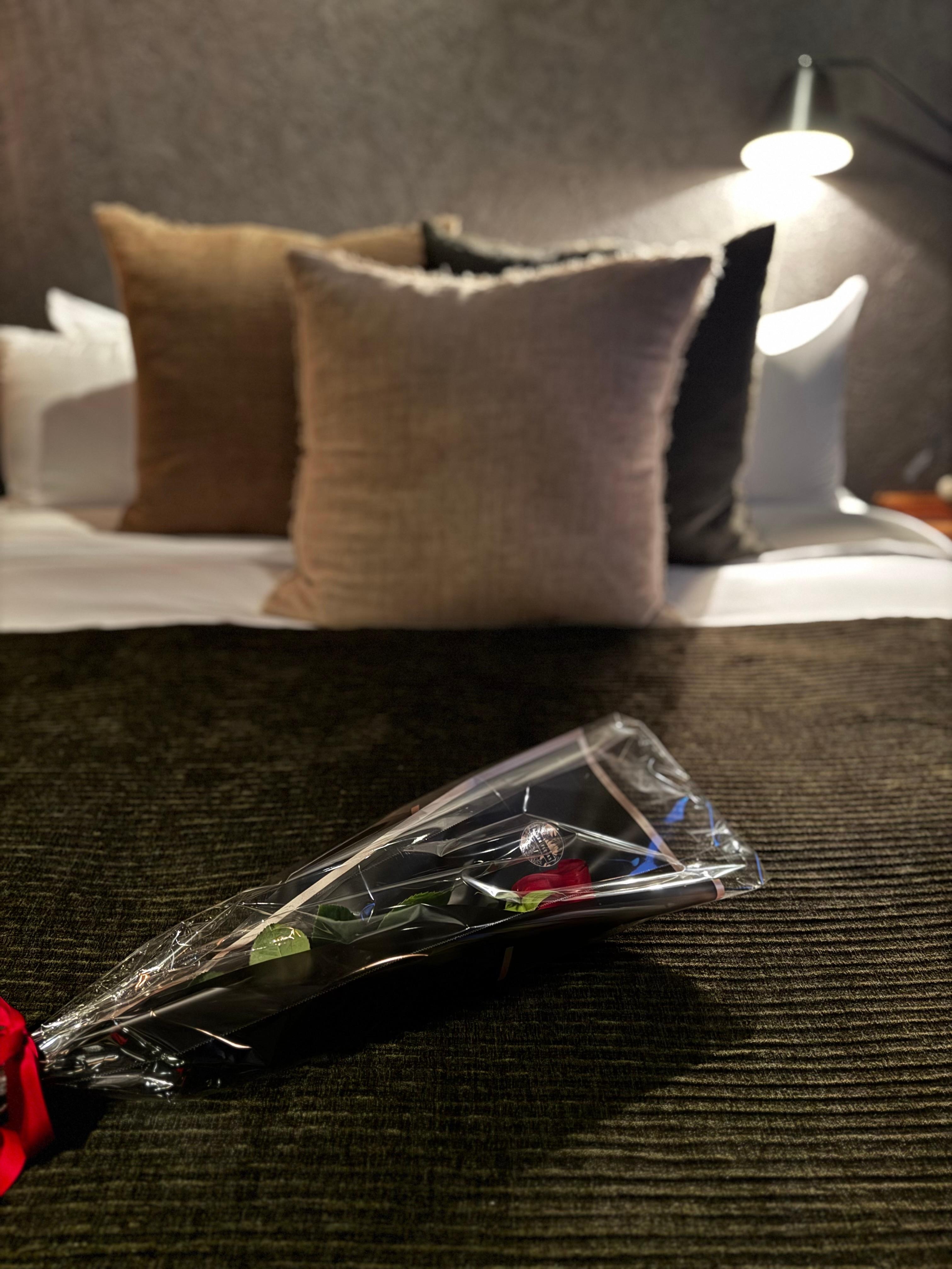 Complimentary rose for Valentine’s Day 