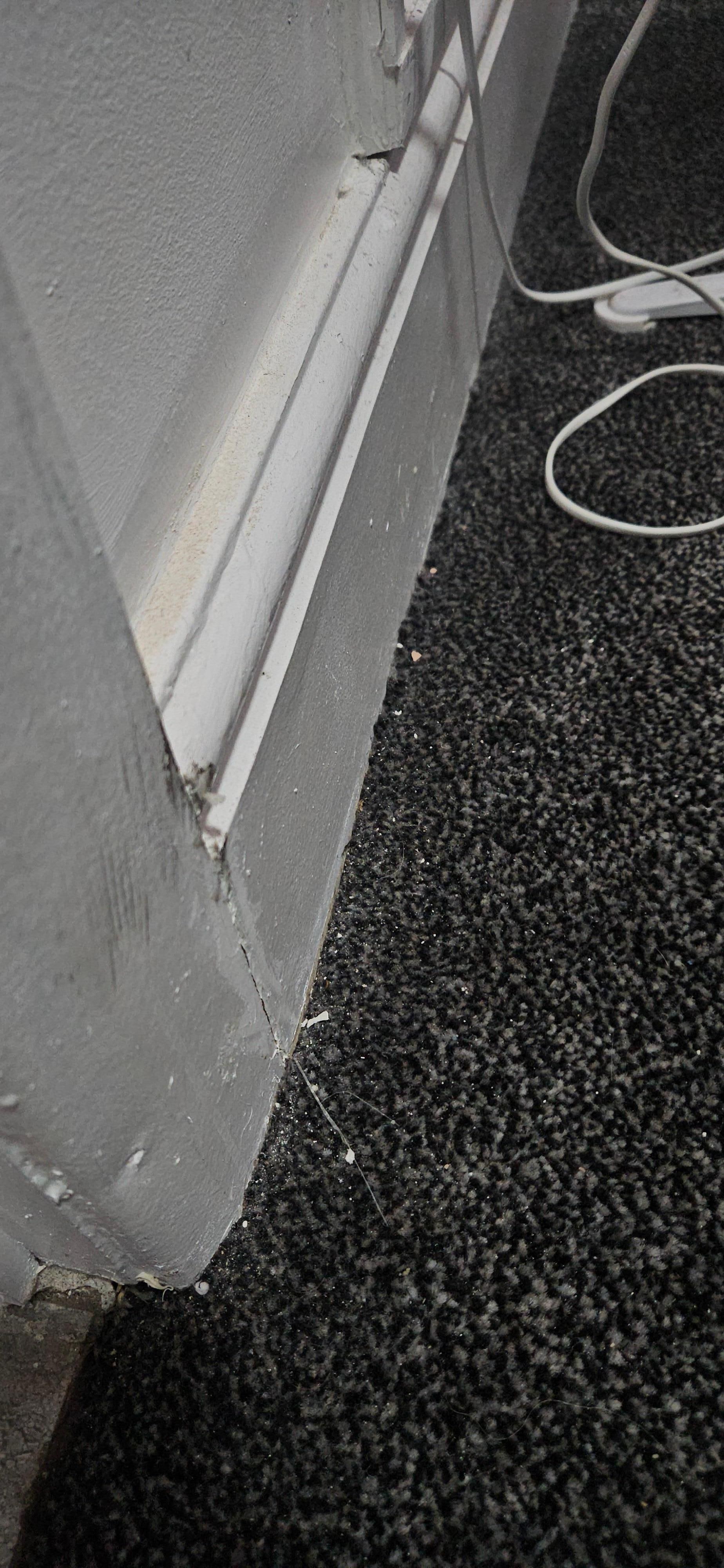 Carpet, like this across the floor