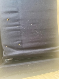 Crumbs on couch