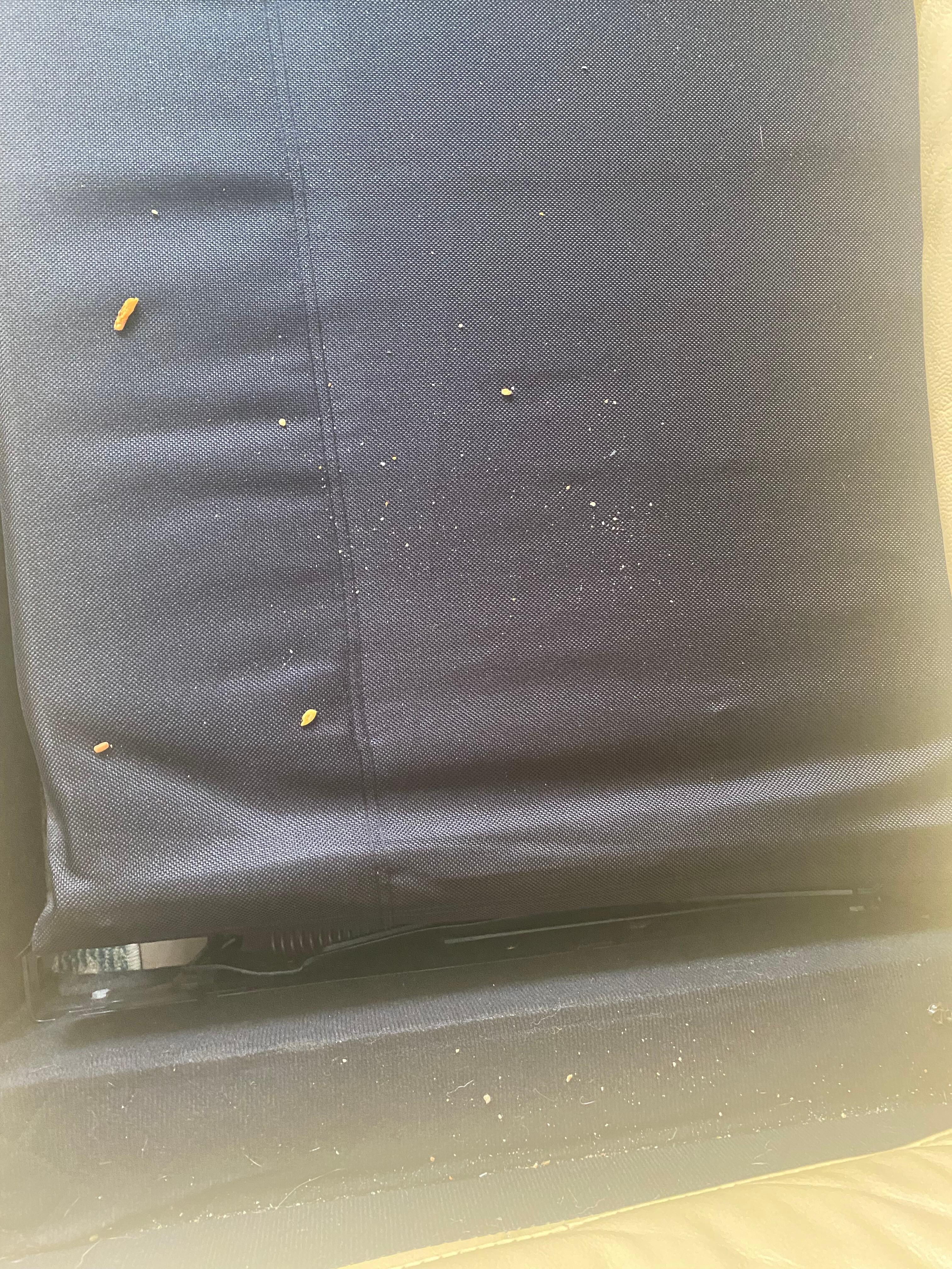 Crumbs on couch