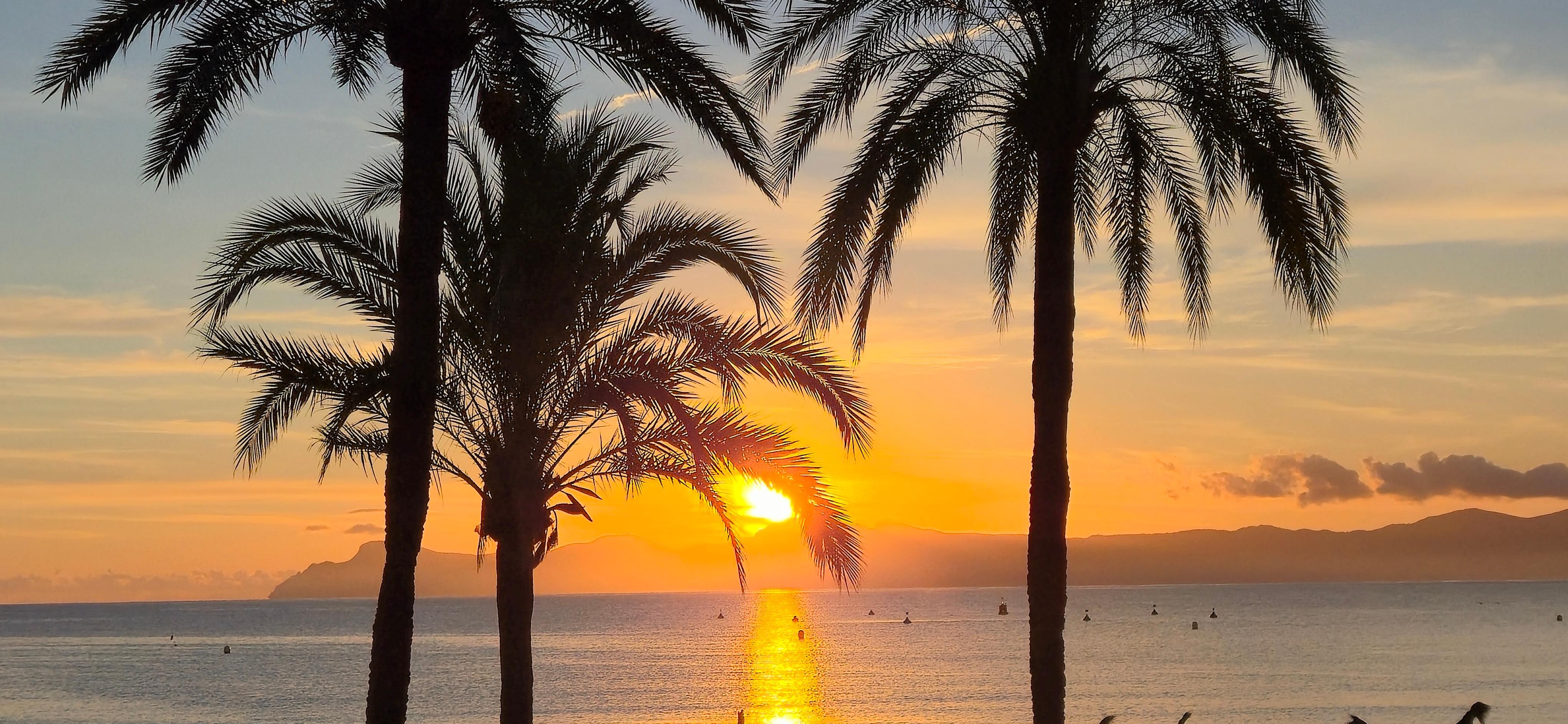 View from Hotel Condesa