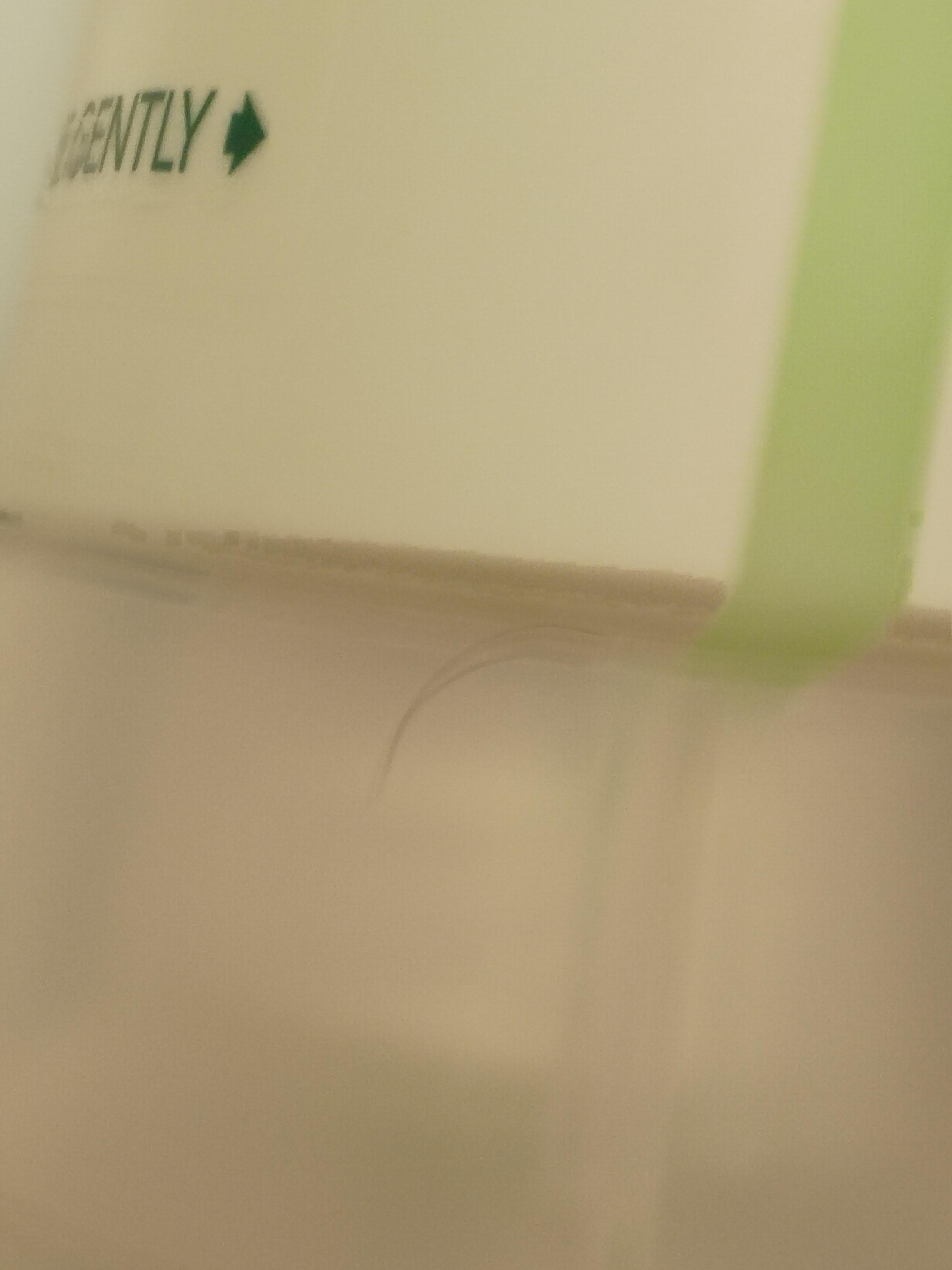 The pubic hair in the shampoo 