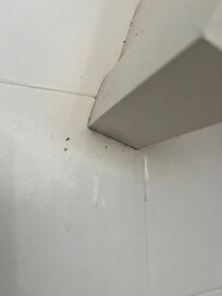 The kitchen walls were covered in grease.