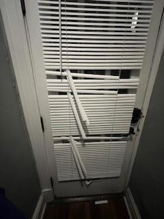 Front door blinds