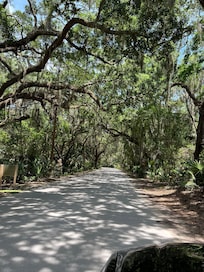 Canopy road to Fort Clinch