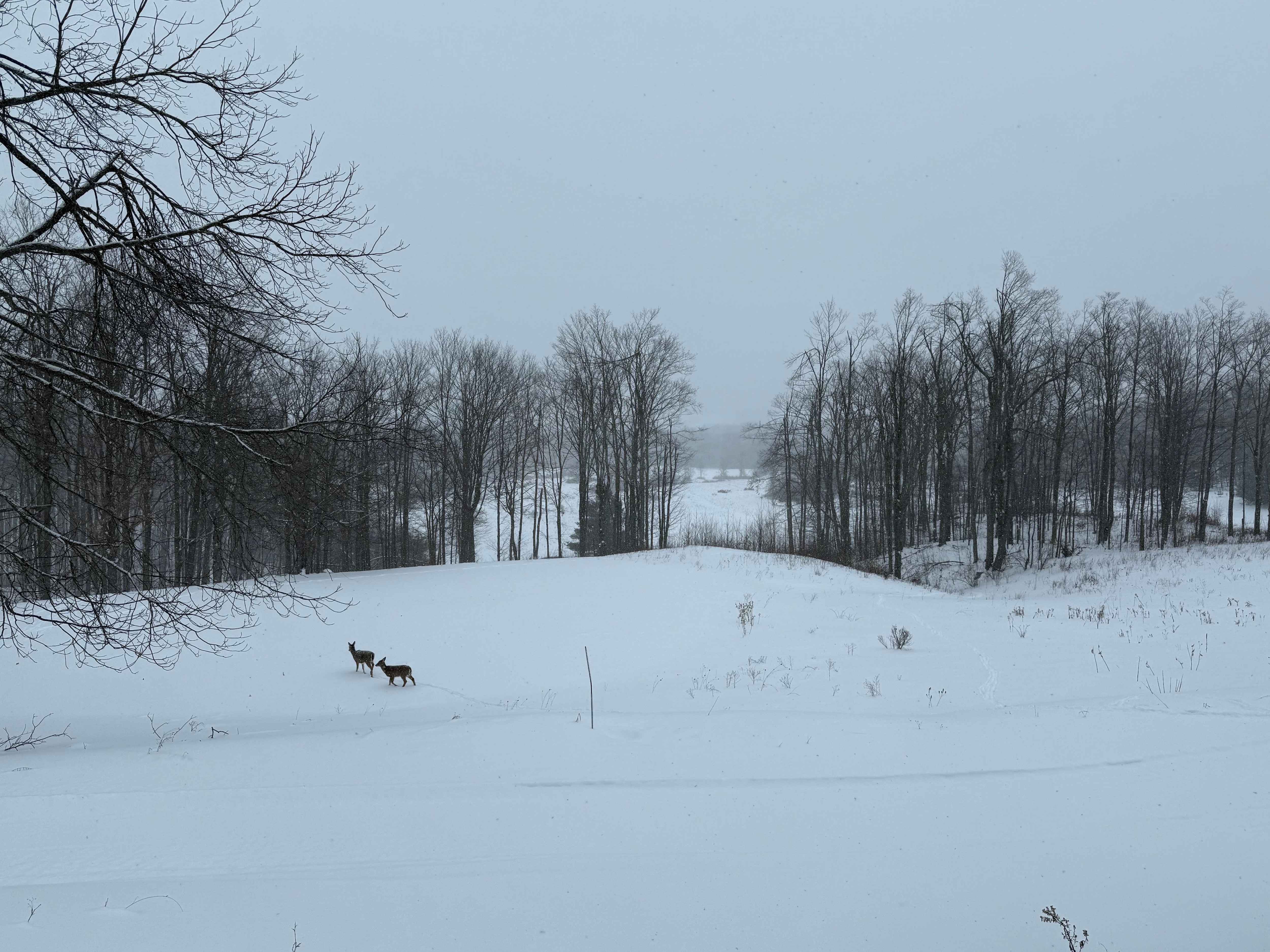 The amazing view from the living room!