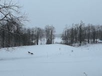 The amazing view from the living room!