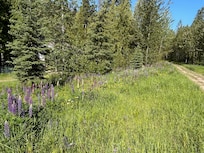 Nearby ski out