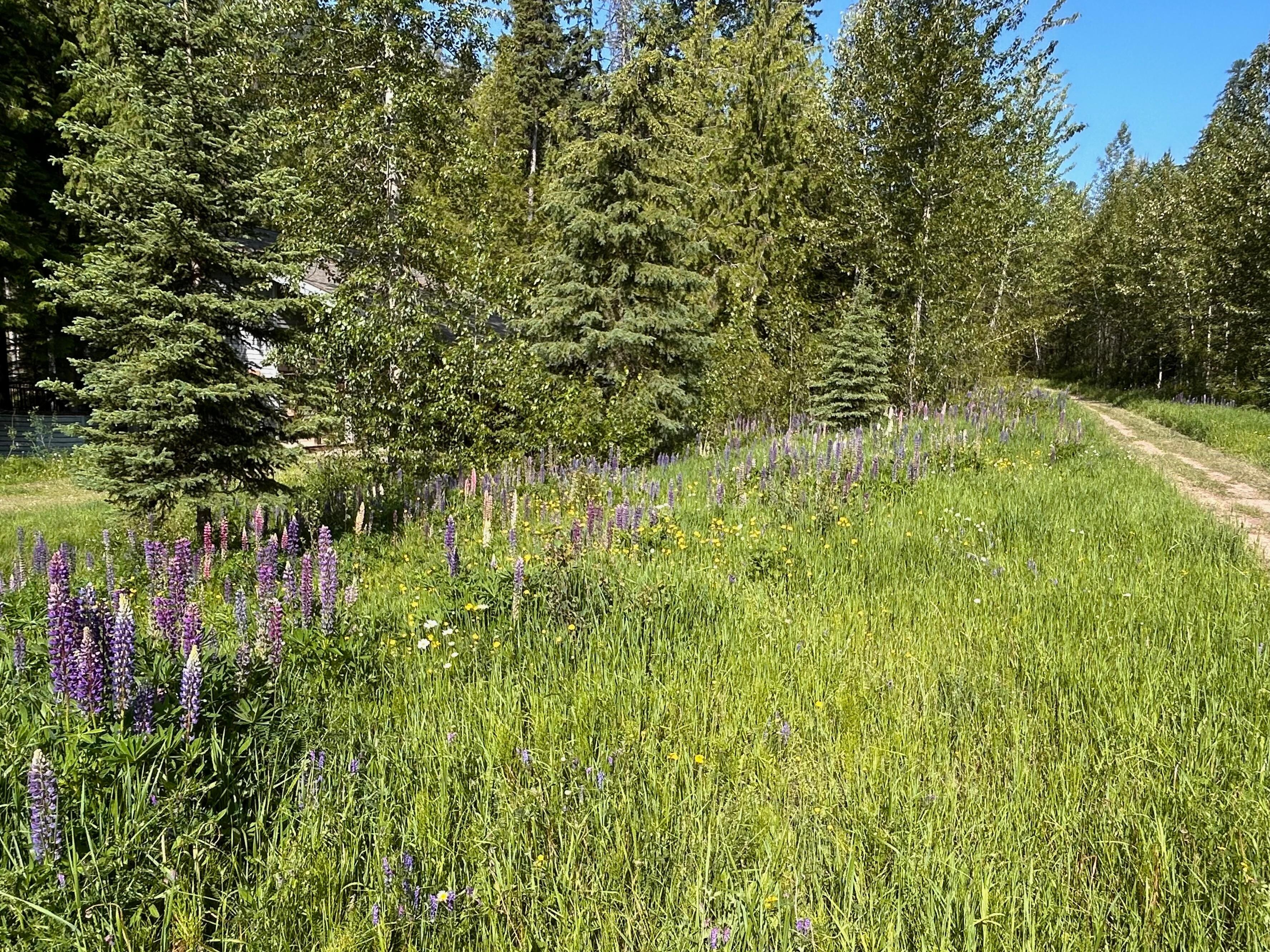 Nearby ski out