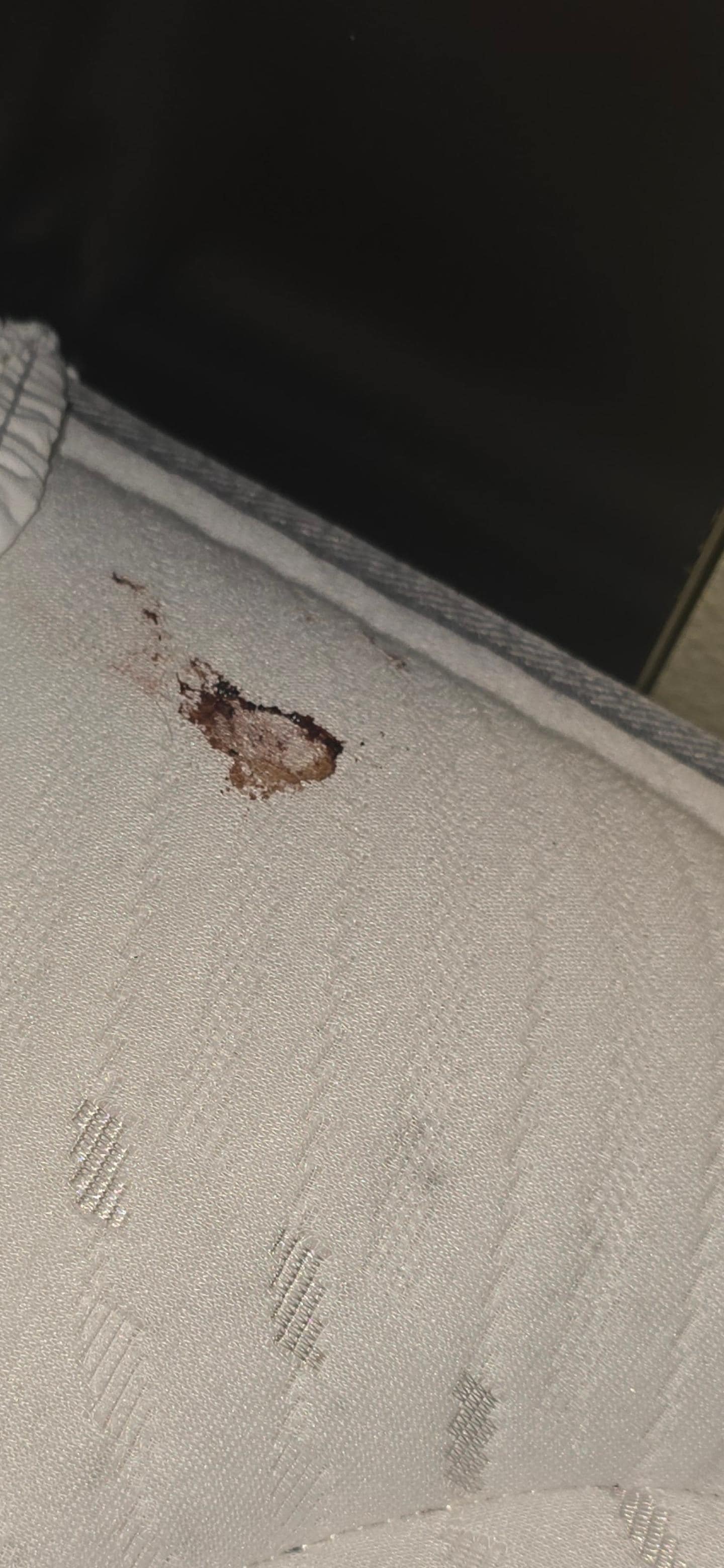 Bloody mattress 