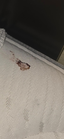 Bloody mattress