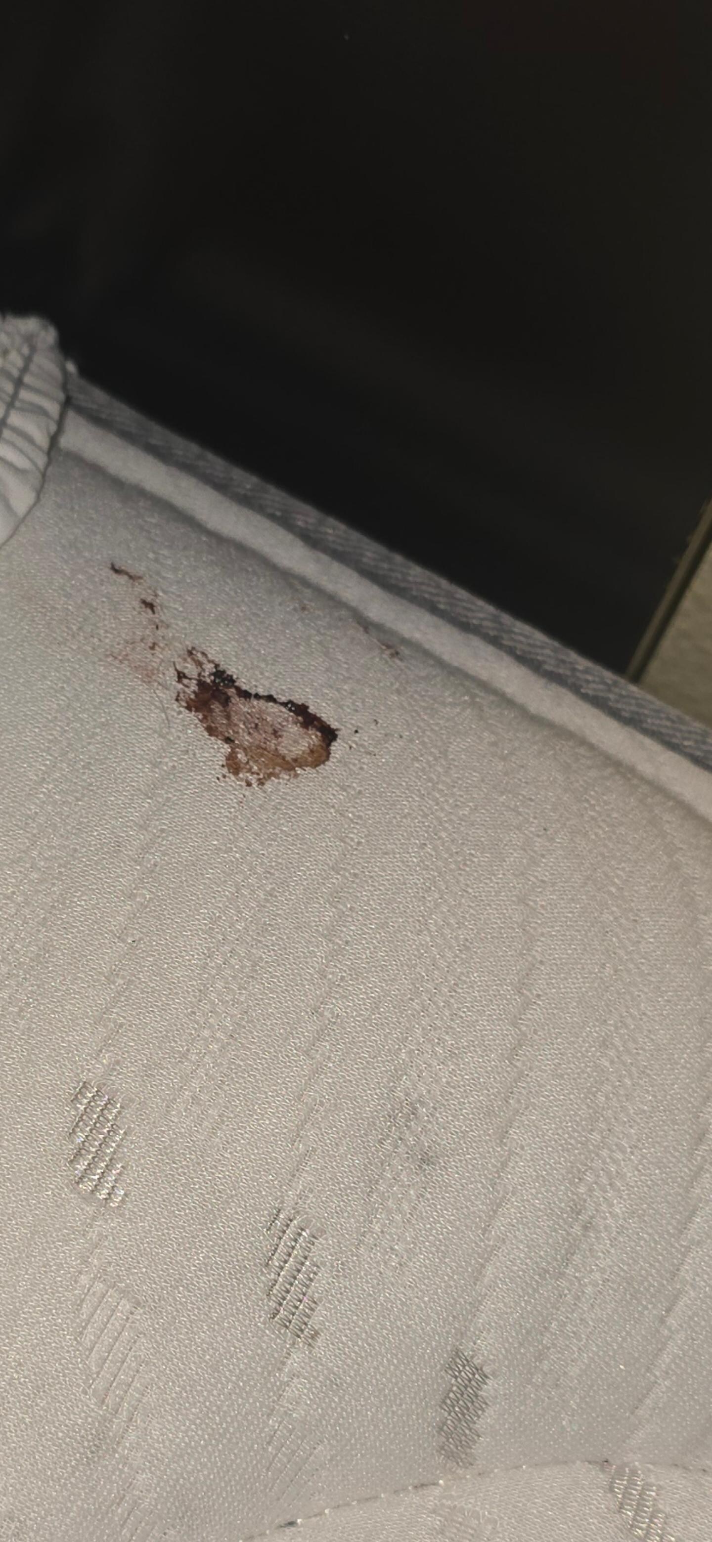 Bloody mattress 