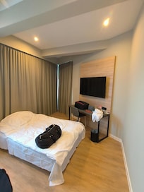 Additional bed (sofa bed)