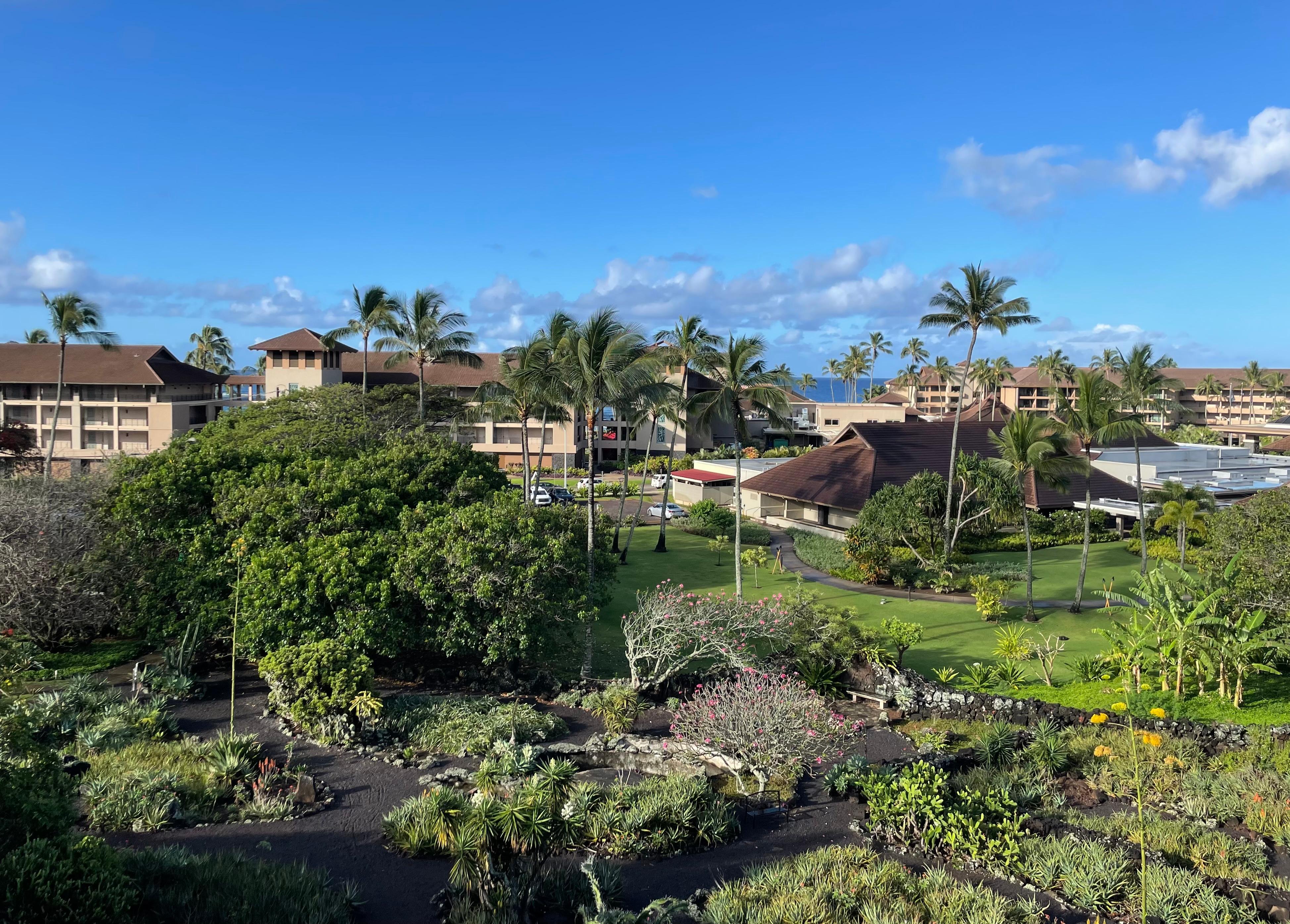View from room 318