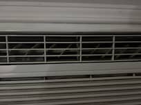Black mold in the ac unit