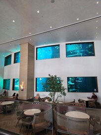 Huge aquarium in lobby.