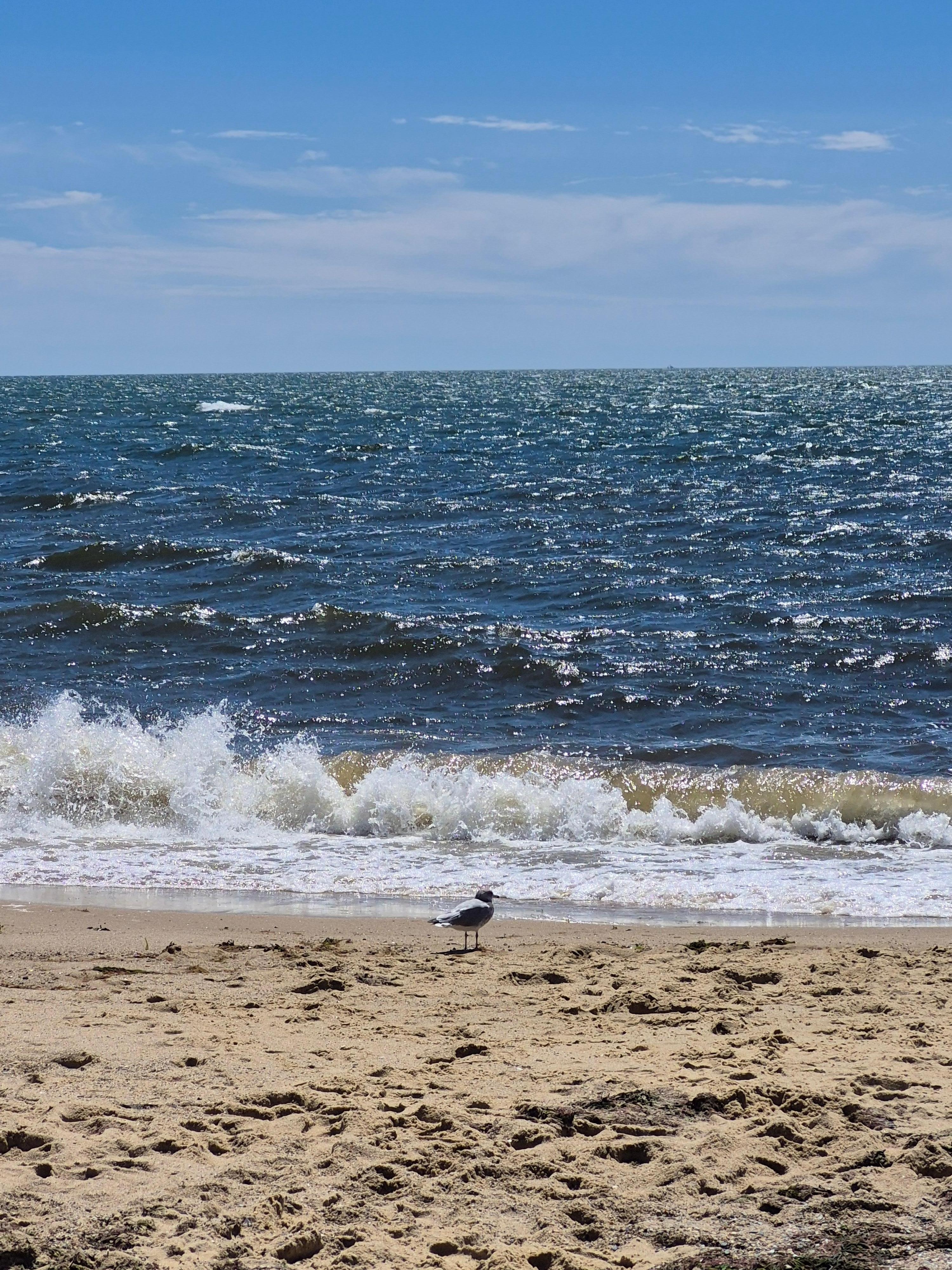 Sea Street Beach - walk to it