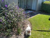 The back door area near the picnic area that has a doggy bag station.