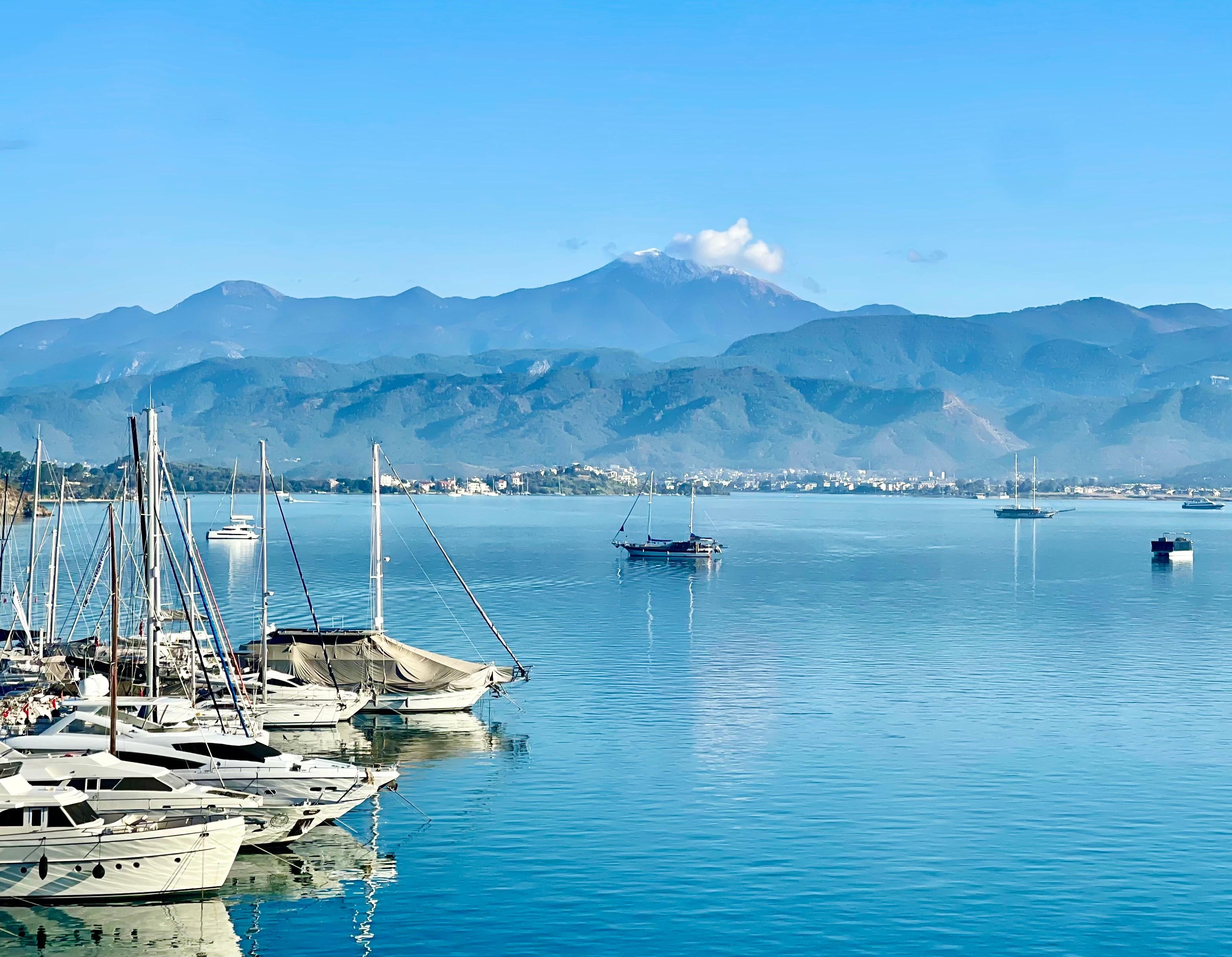 Snowcapped mountain in the distance 