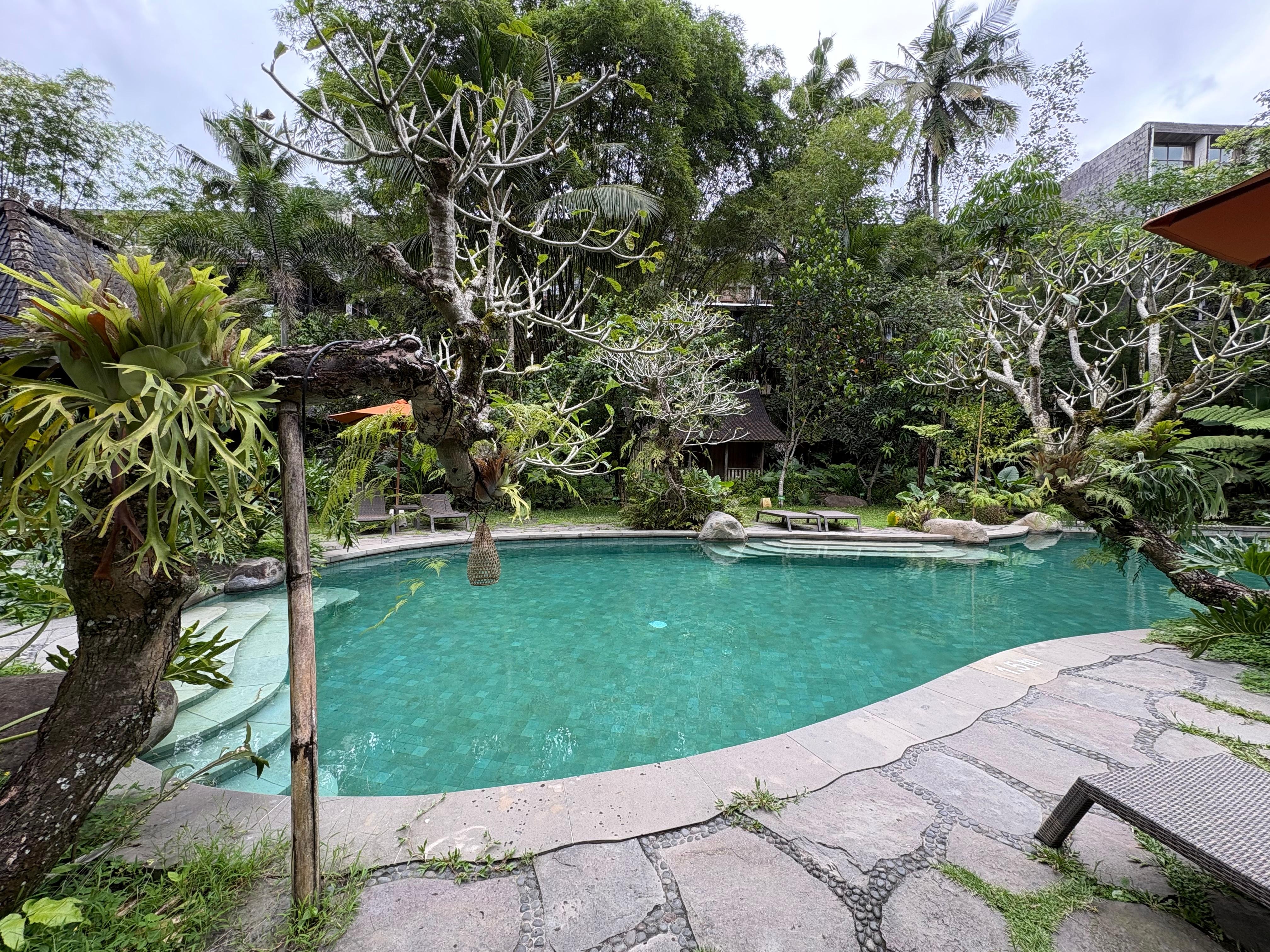 大きい方のプール。