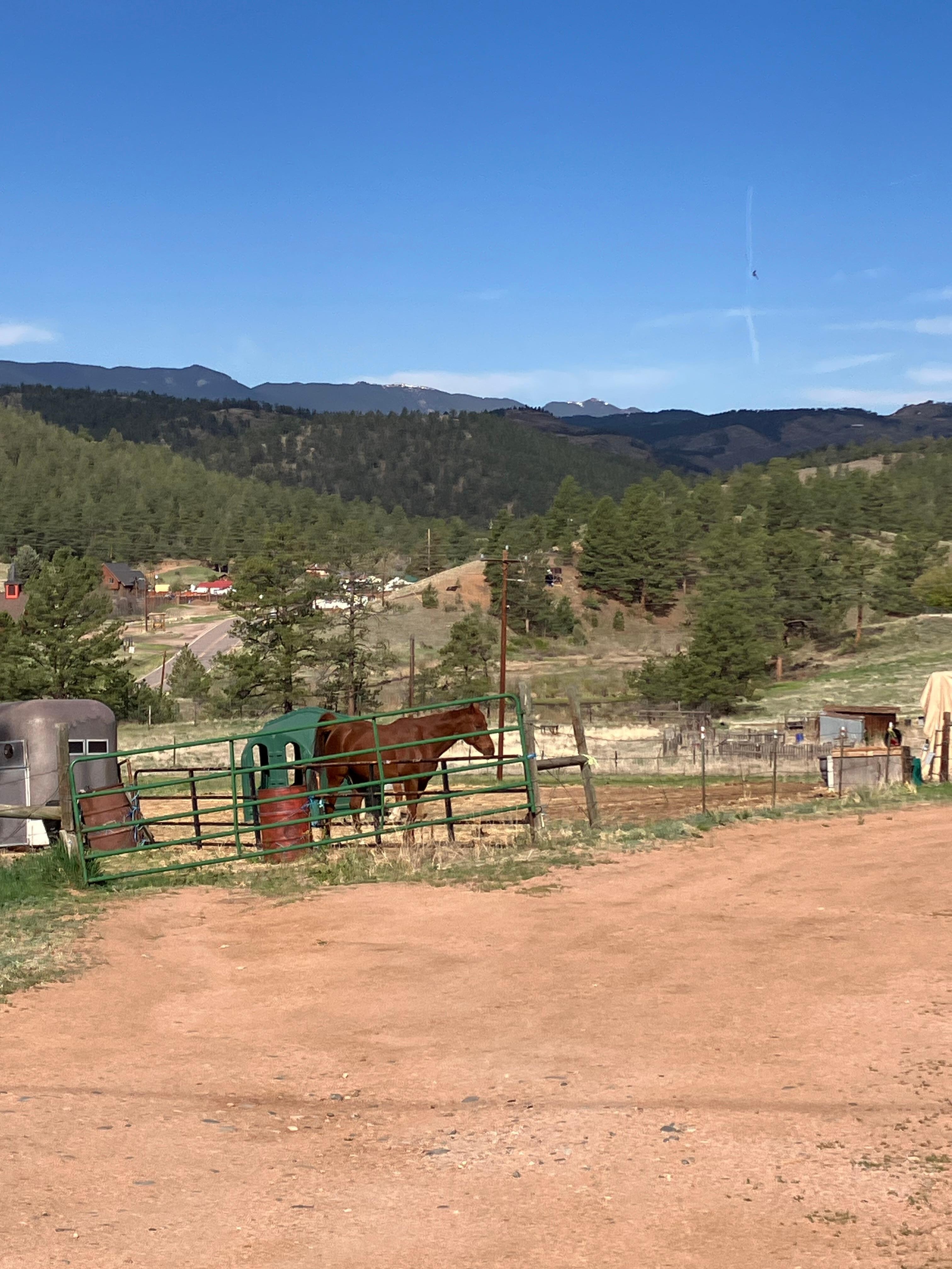 Horses nearby.