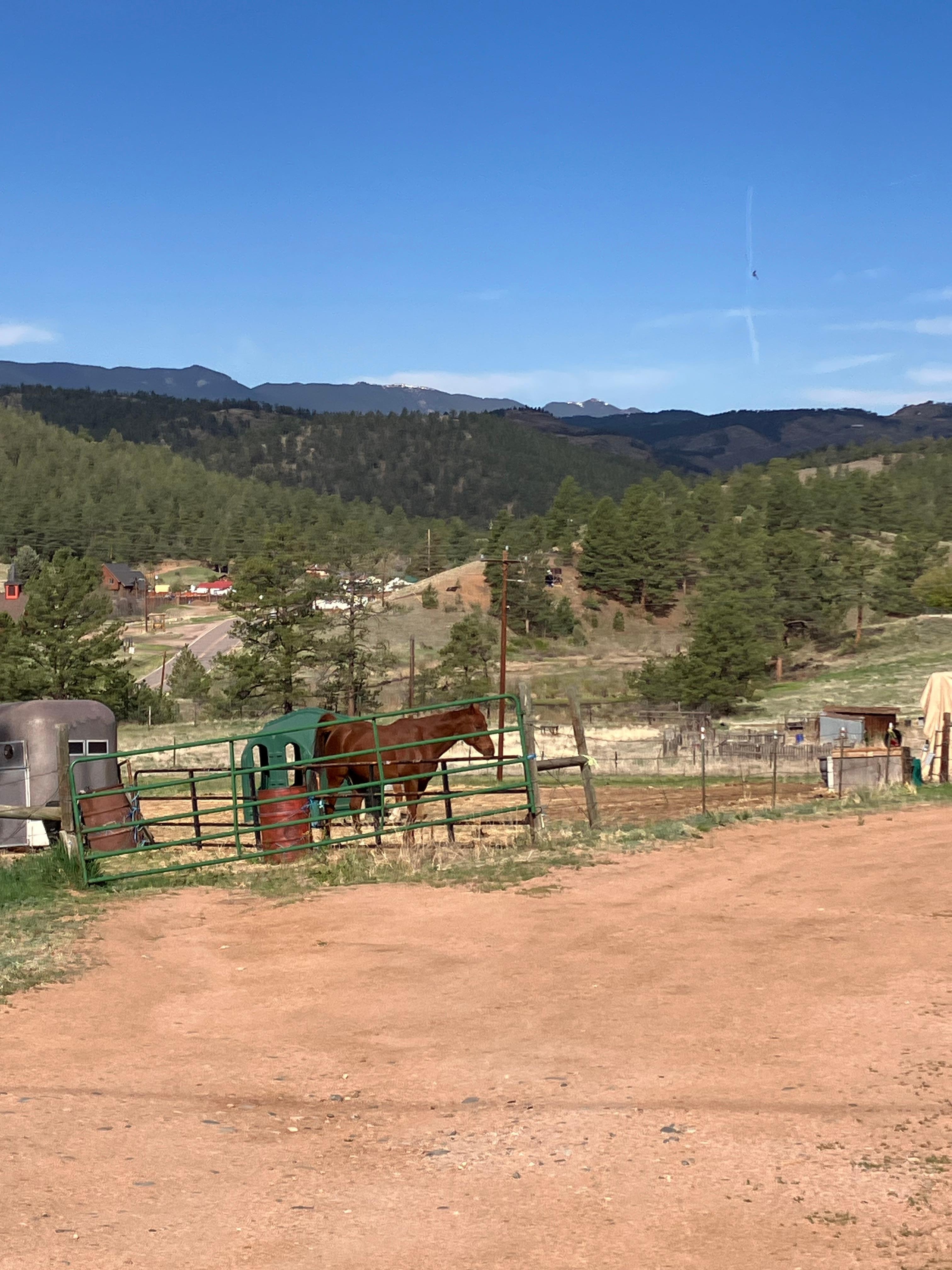 Horses nearby.