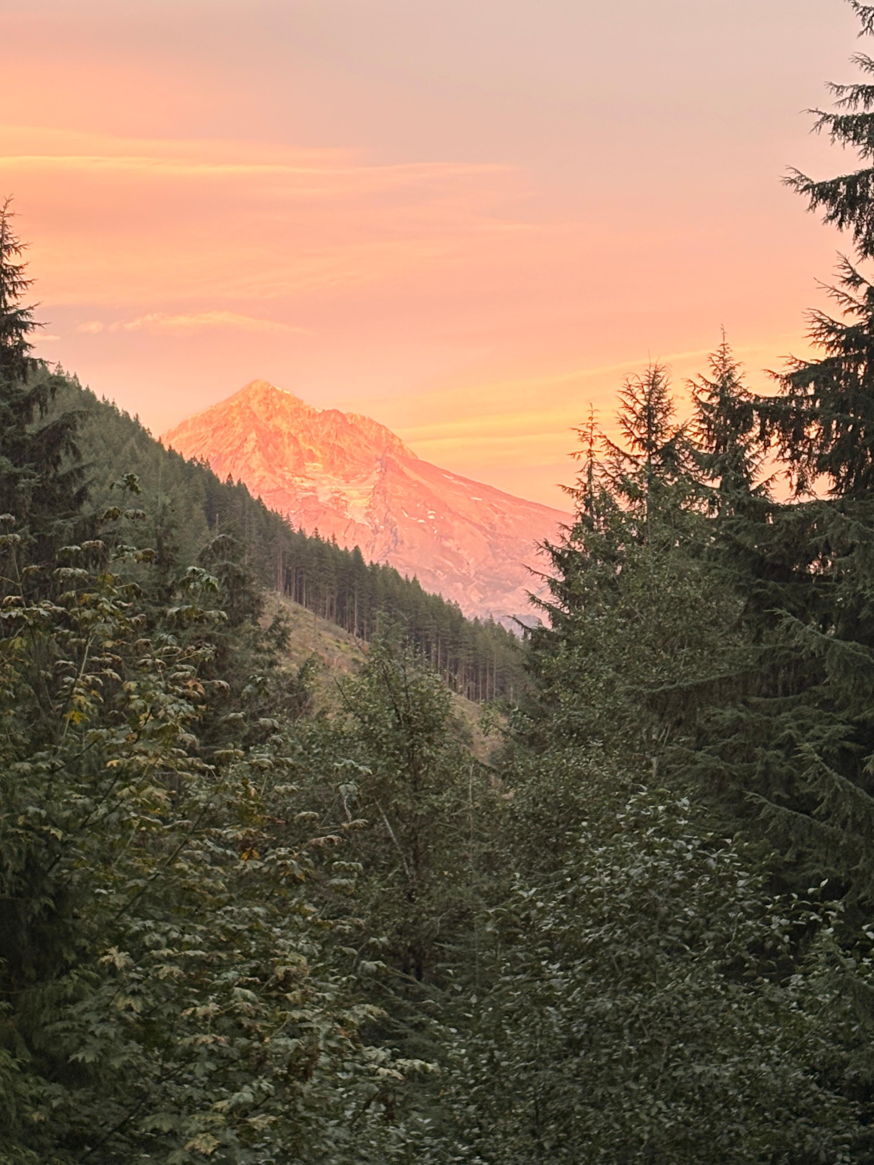 Beautiful view of Mt. Hood from the deck.