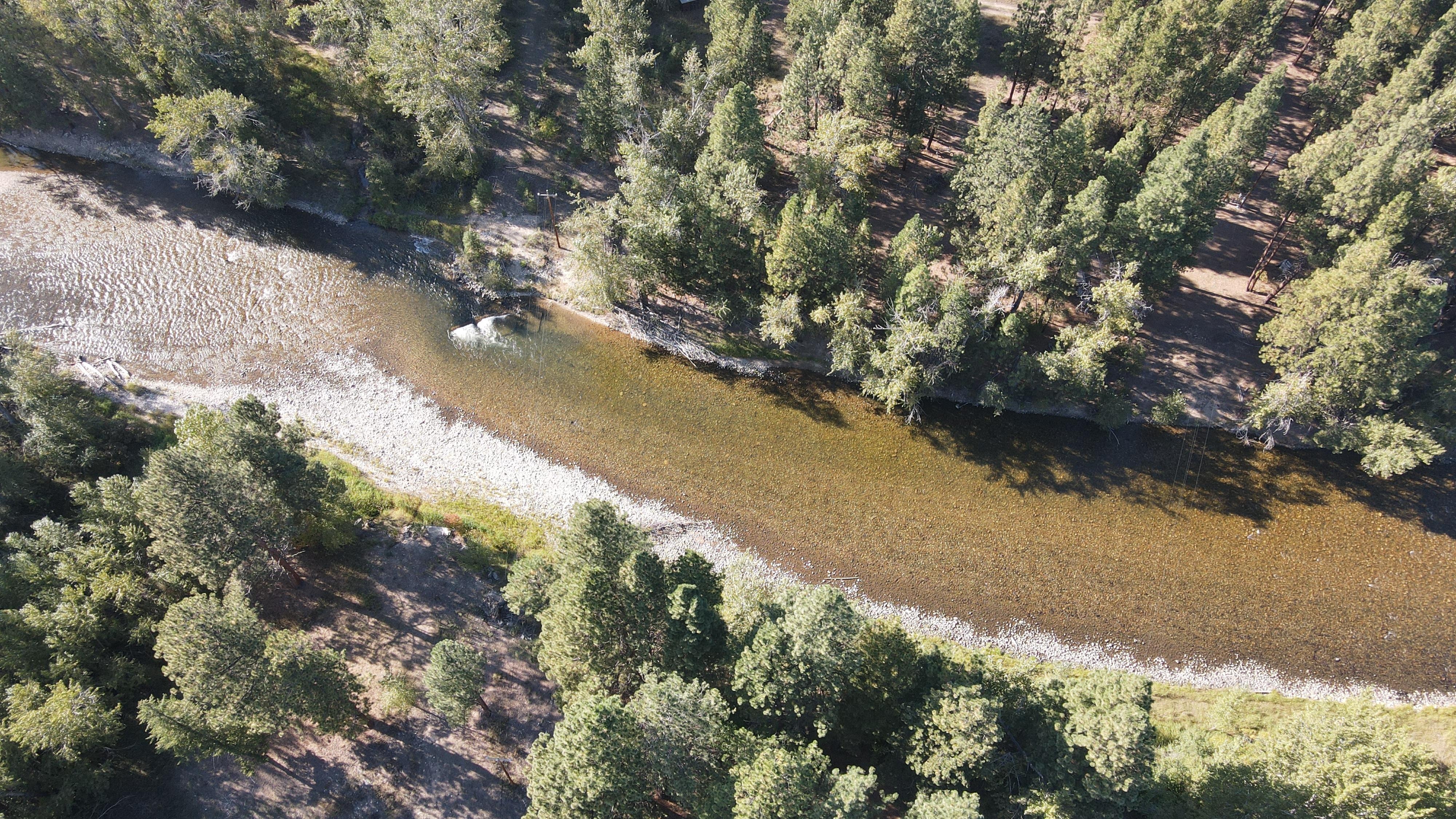 Backyard Fishing From Above