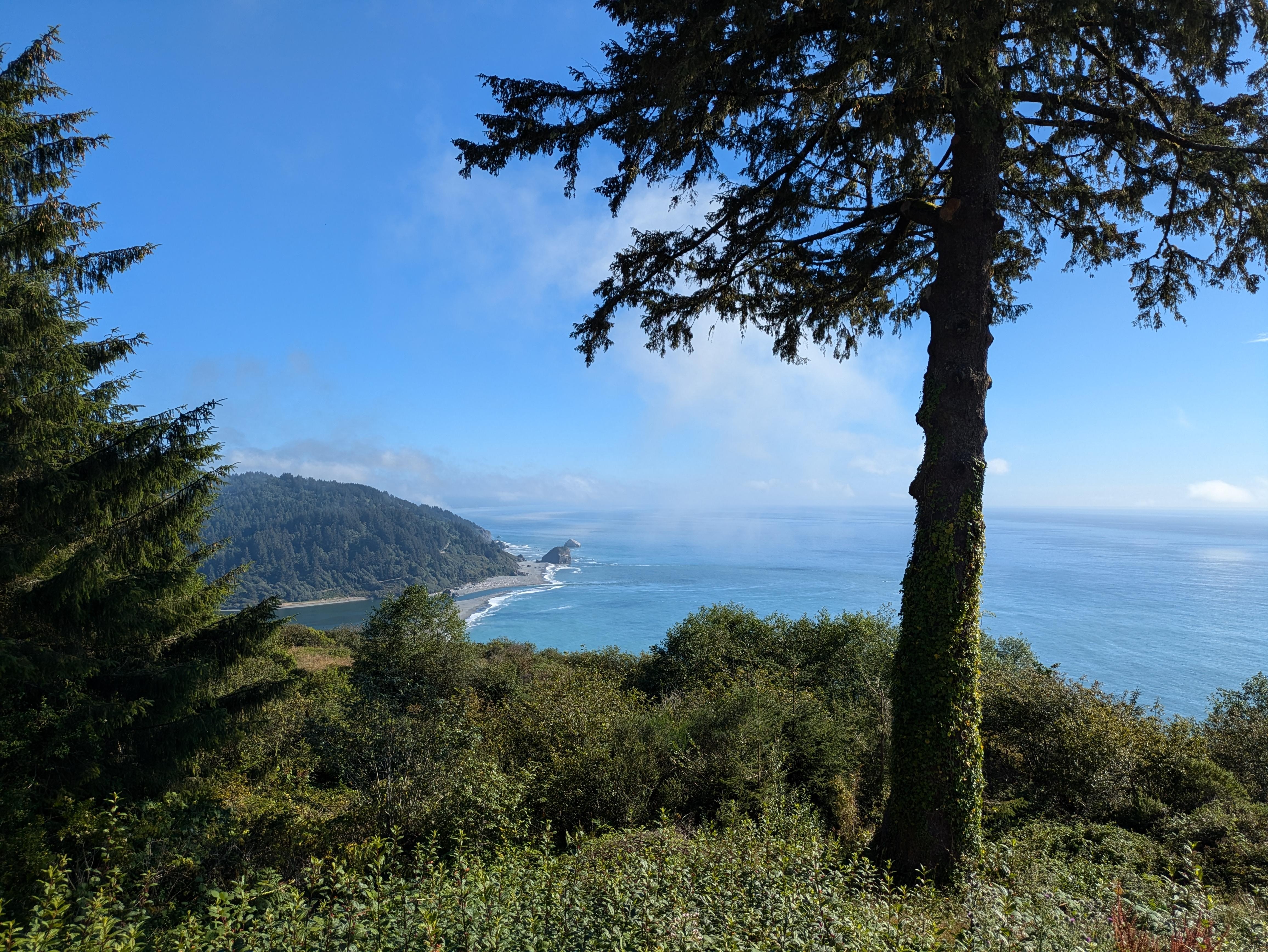 The view from the deck