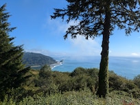 The view from the deck