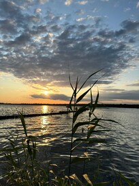 Abendstimmung Müggelsee