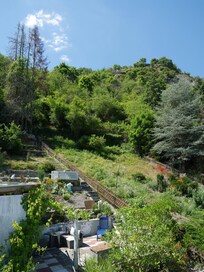 Blick auf einen Teil des schönen Gartens mit Übergang direkt in den Wald
