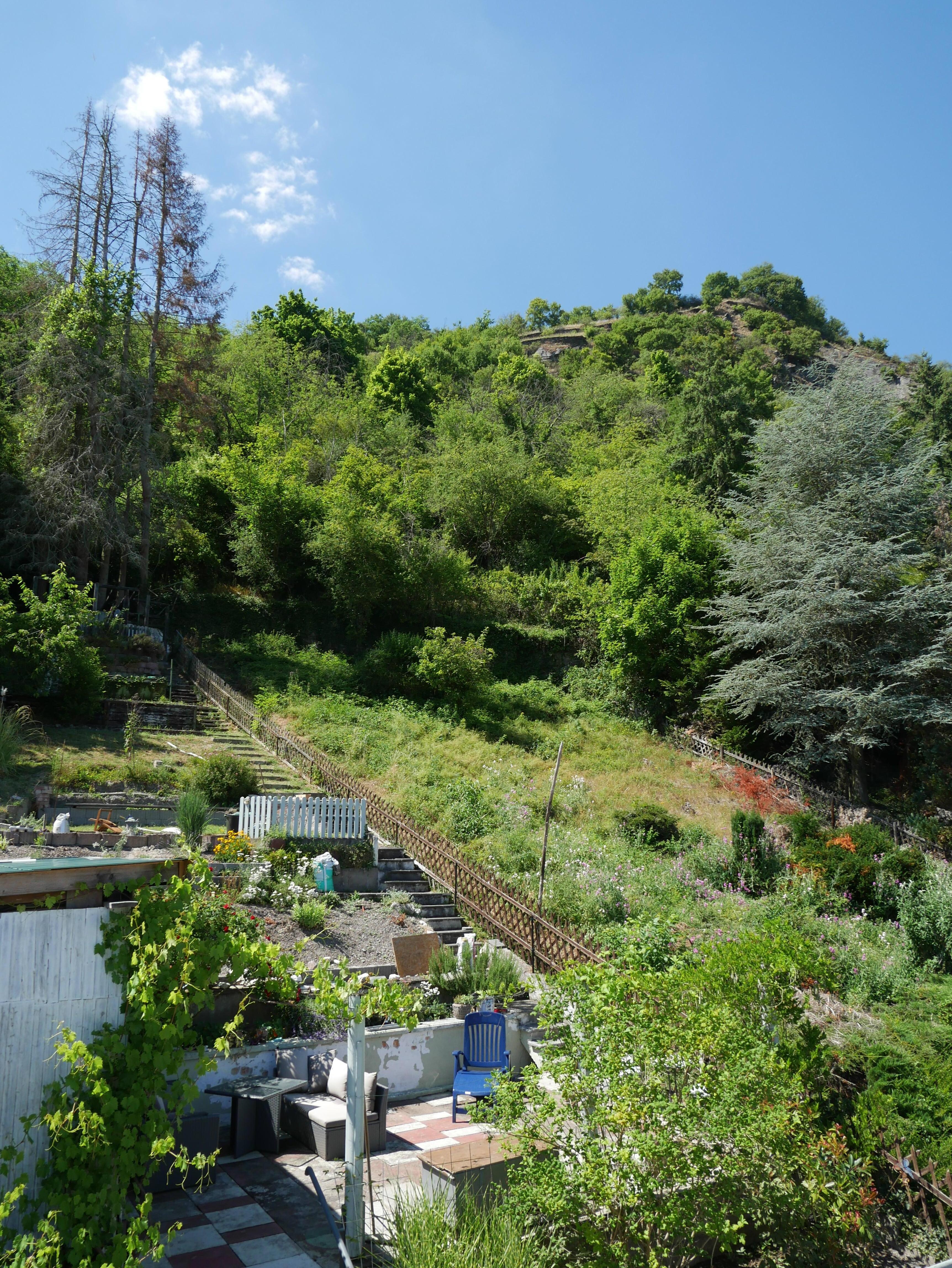 Blick auf einen Teil des schönen Gartens mit Übergang direkt in den Wald