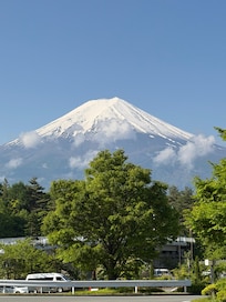View from outside the property.