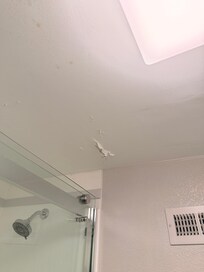 Roof paint in bathroom falling.
