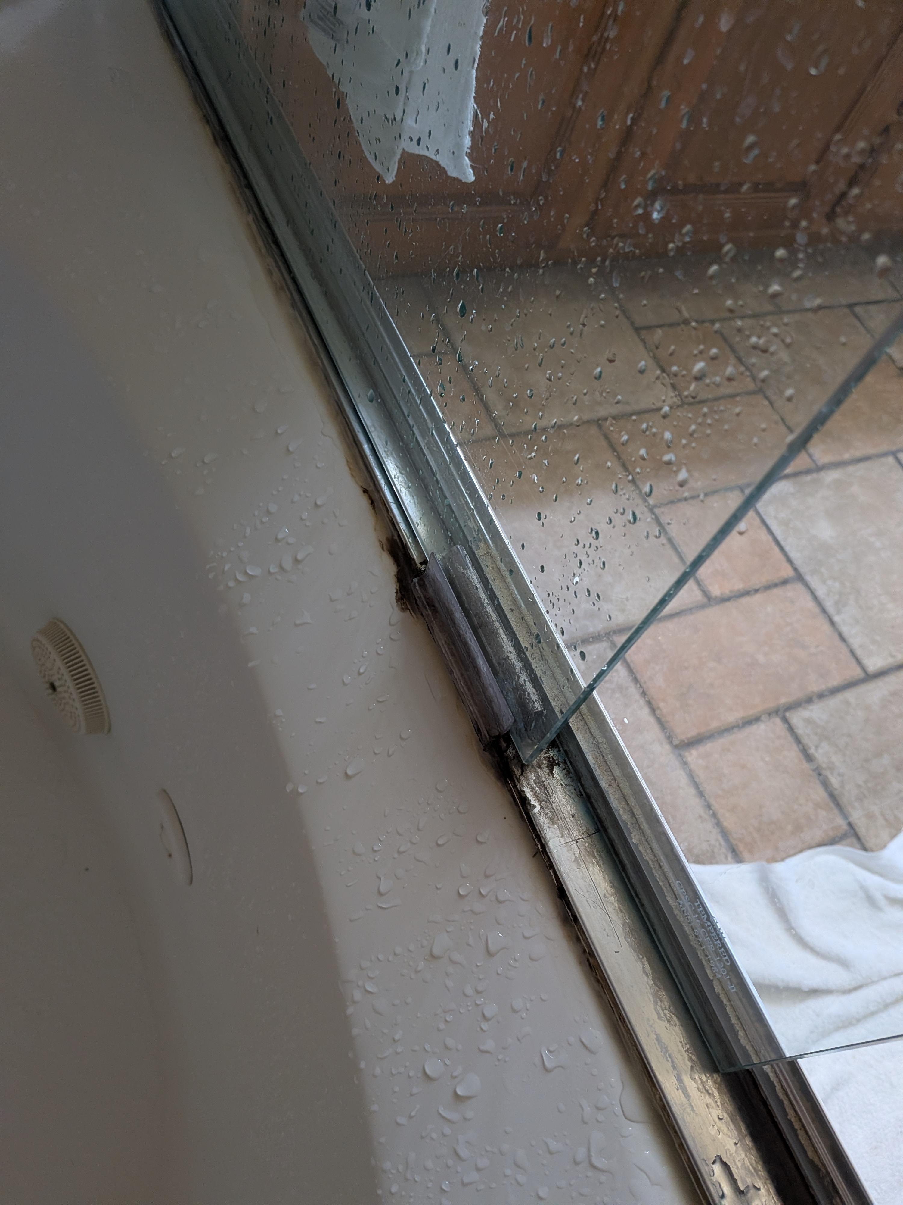Shower Door Mold?