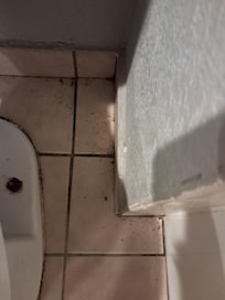 Dirt and cockroaches