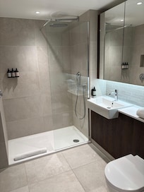 Lovely rain shower. No grab bar for older/disabled guests