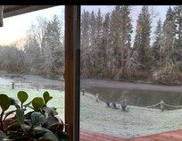 View from kitchen window.