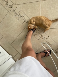 Maddie, came every morning for my coffee